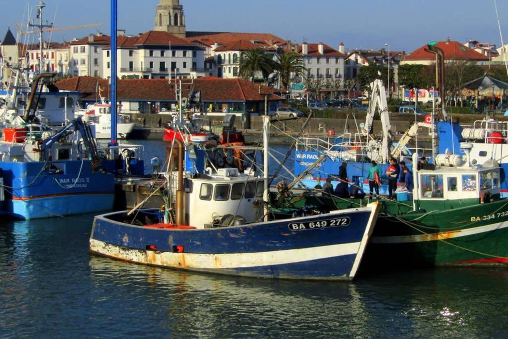 Maison Individuelle Cote Basque سيبور المظهر الخارجي الصورة